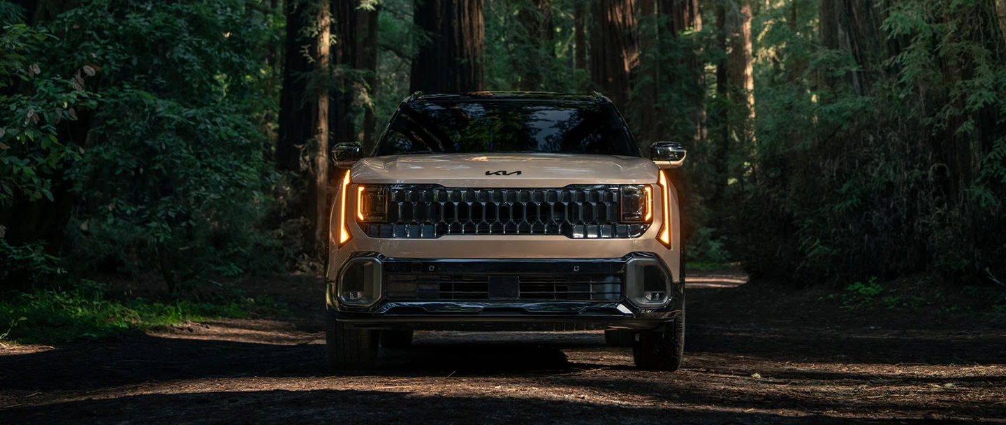 New Kia Sportage Grille