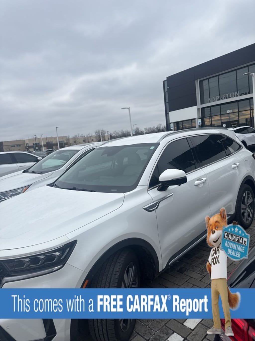 Used 2023 Kia Sorento Hybrid SX Prestige SUV