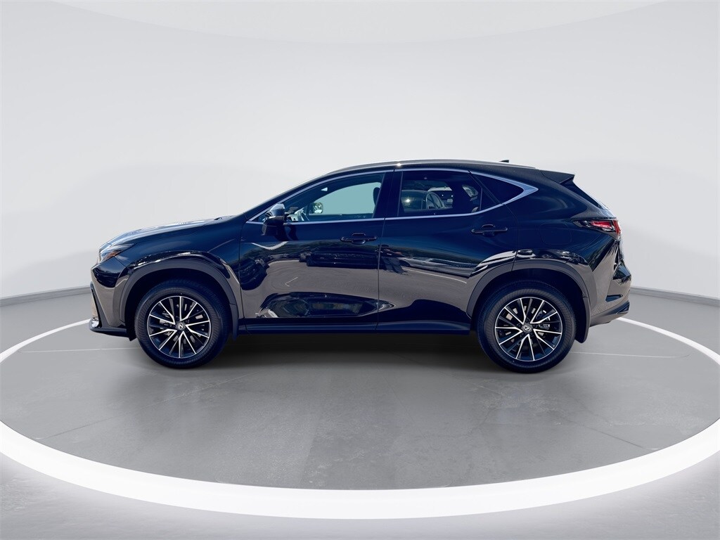 2024 Lexus NX 250 photo 4