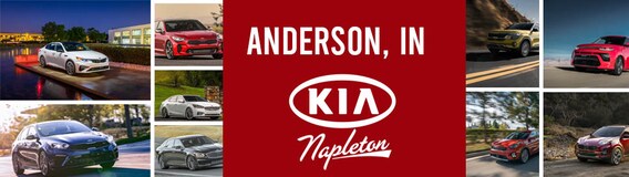 Kia Dealer In Anderson In Napleton Kia Of Fishers
