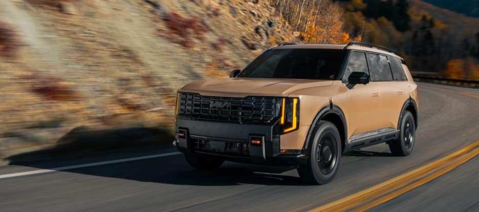 Kia Telluride Terrain Brown