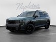  Kia Telluride Hybrid