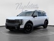  Kia Telluride Hybrid