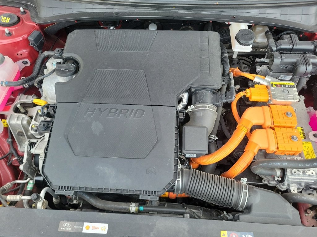 2025 Hyundai Elantra Limited - Photo 28