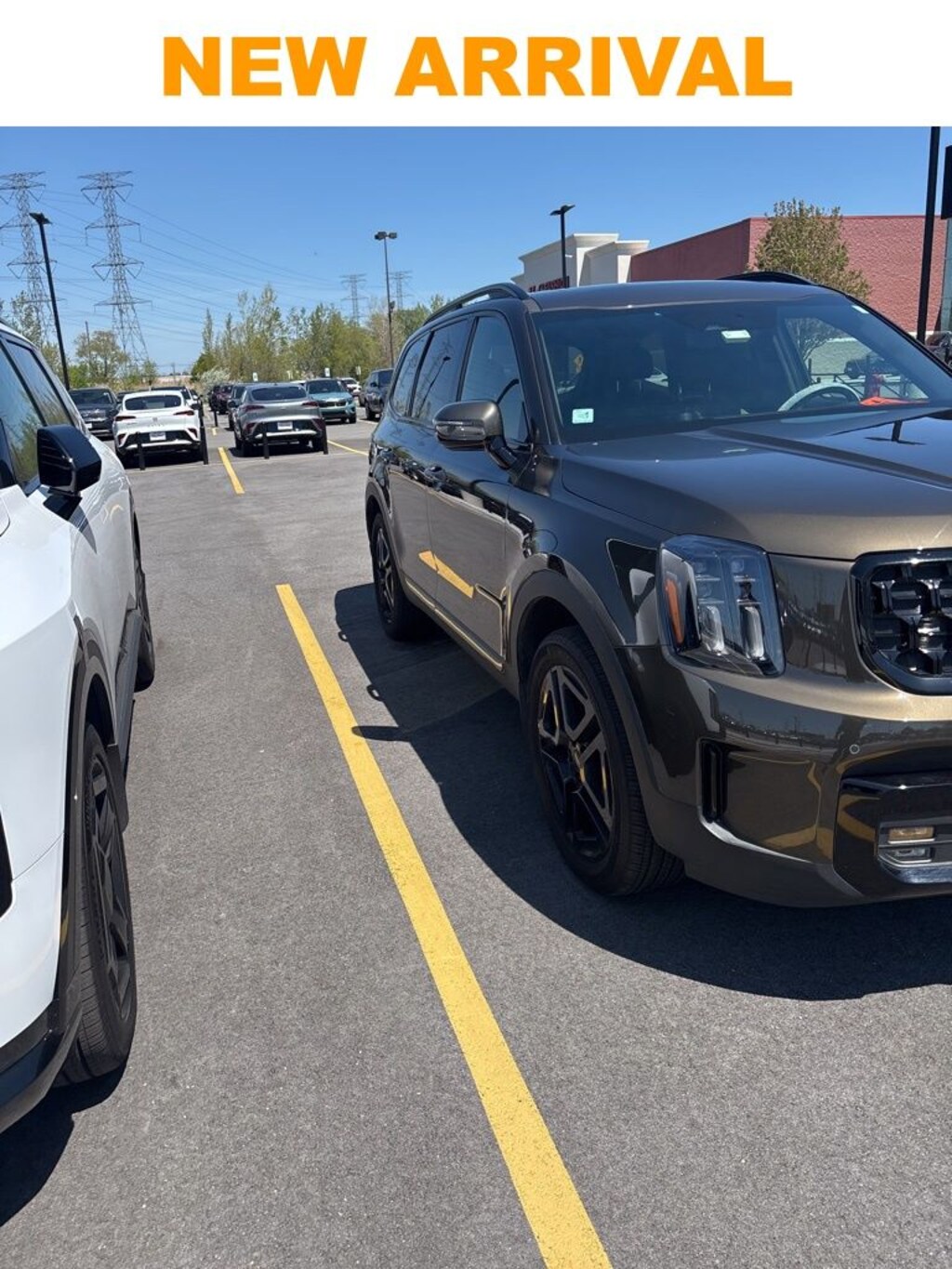 Used 2025 Kia Telluride SX-Prestige X-Line SUV