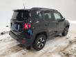 2020 Jeep Renegade Trailhawk 4x4 SUV