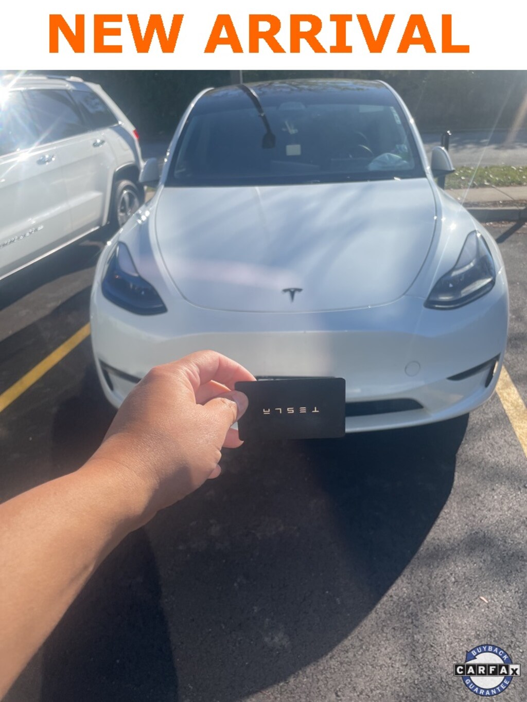 Used 2023 Tesla Model Y Performance SUV