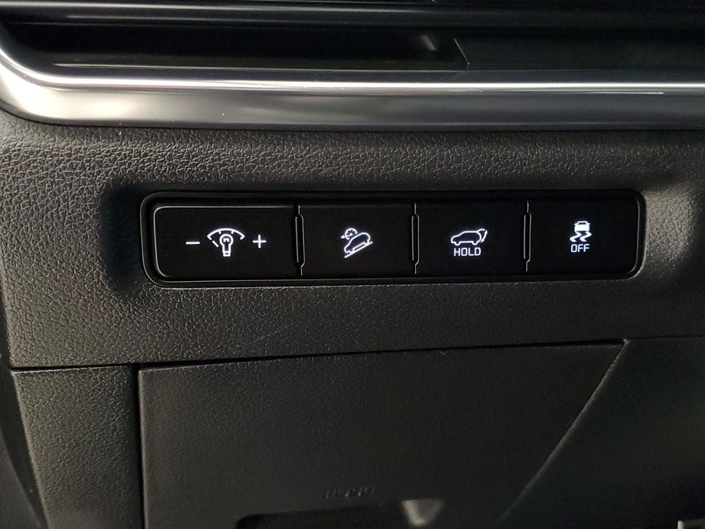 2024 Kia Telluride SX Prestige - Photo 11