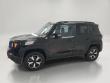 2020 Jeep Renegade Trailhawk 4x4 SUV