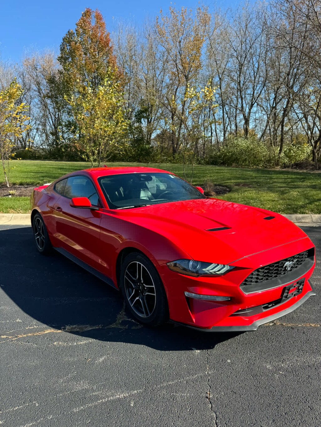 Used 2022 Ford Mustang Ecoboost Premium Fastback