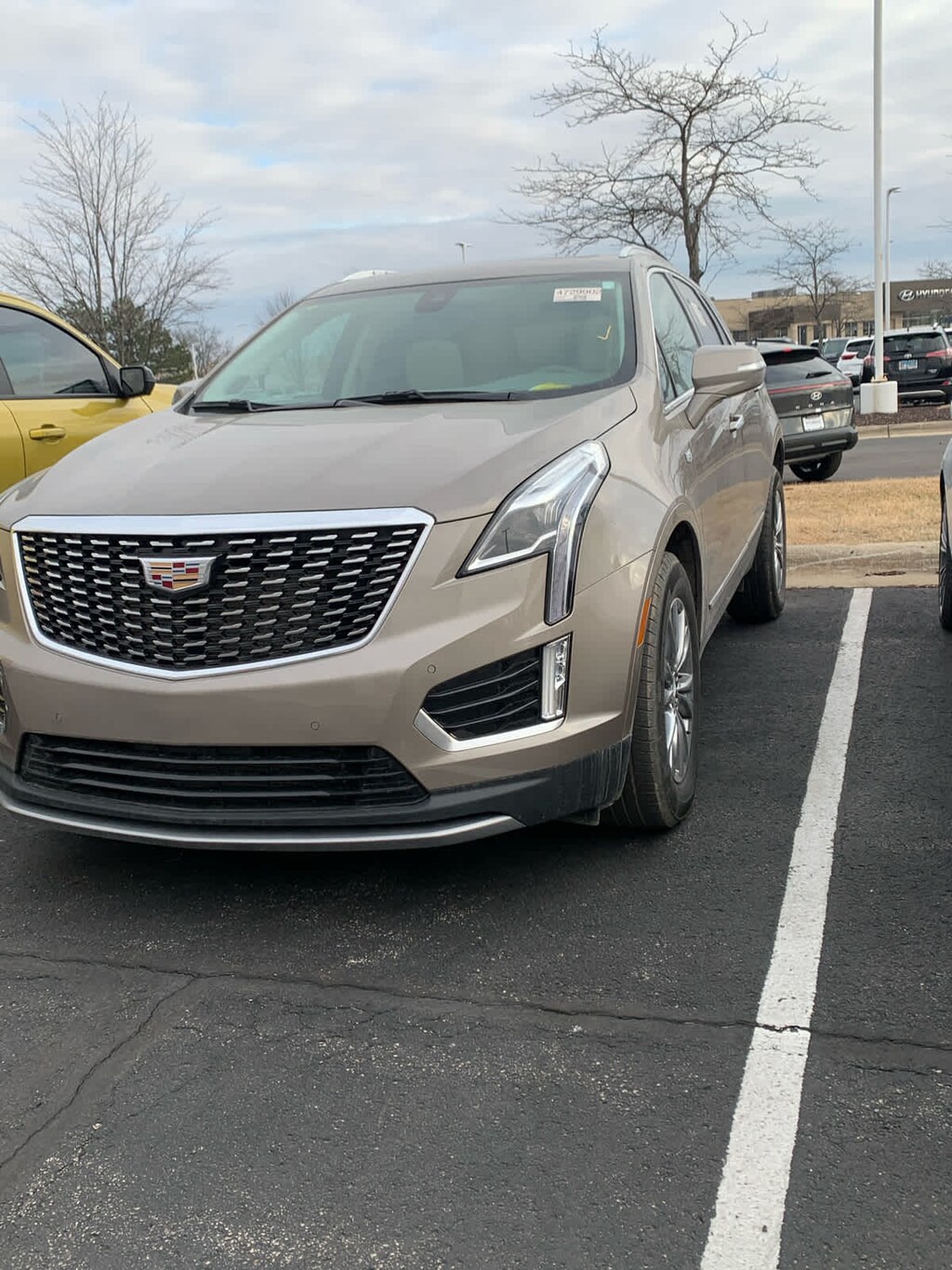 Used 2023 Cadillac XT5 AWD Premium Luxury