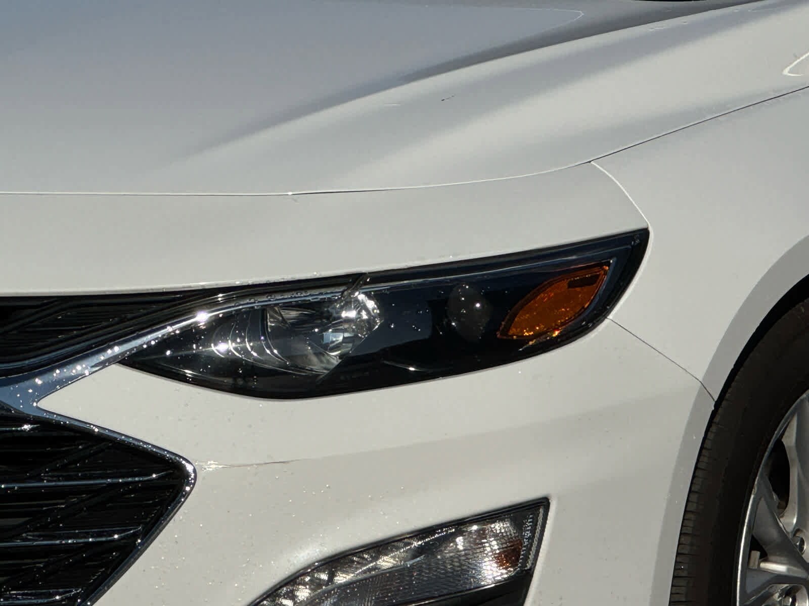 2023 Chevrolet Malibu 1LT photo 4