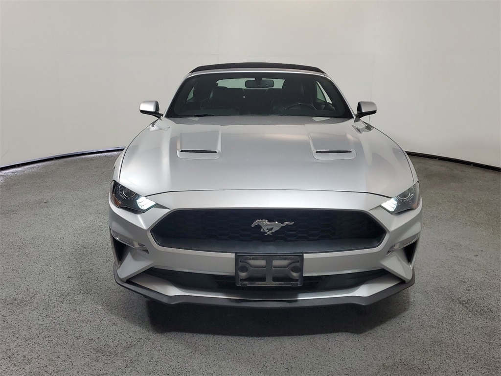 Used 2019 Ford Mustang EcoBoost Premium with VIN 1FATP8UH9K5162504 for sale in Clermont, FL