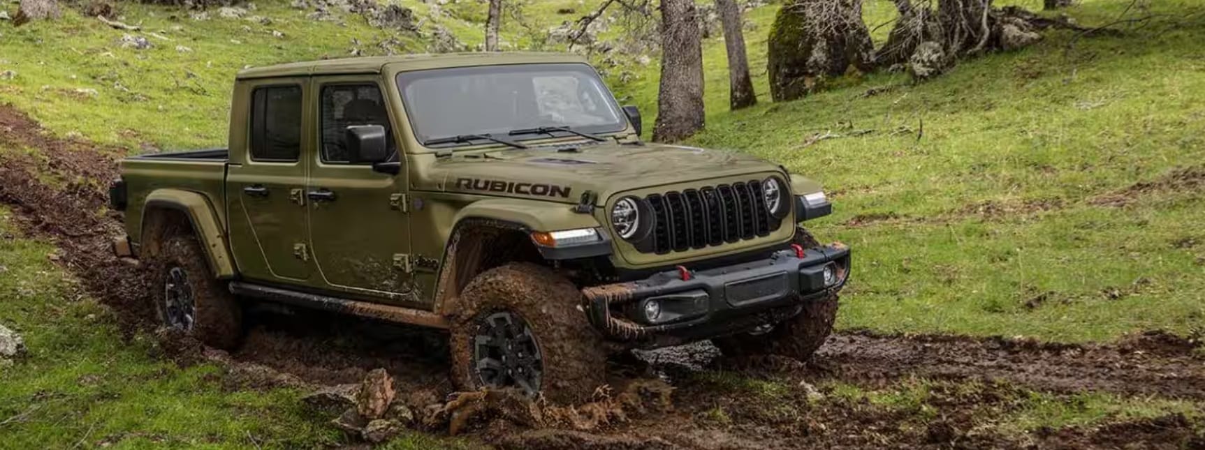 Olive Drab Green Jeep