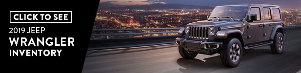 2019 JEEP WRANGLER copy.jpg