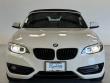 2020 BMW 230i xDrive Convertible