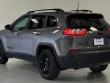 2020 Jeep Cherokee Altitude SUV