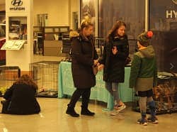 Pet Adoption Event - Napleton's Valley Hyundai