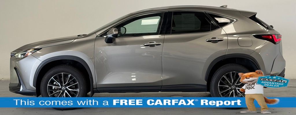 2024 Lexus NX 350 - Photo 2