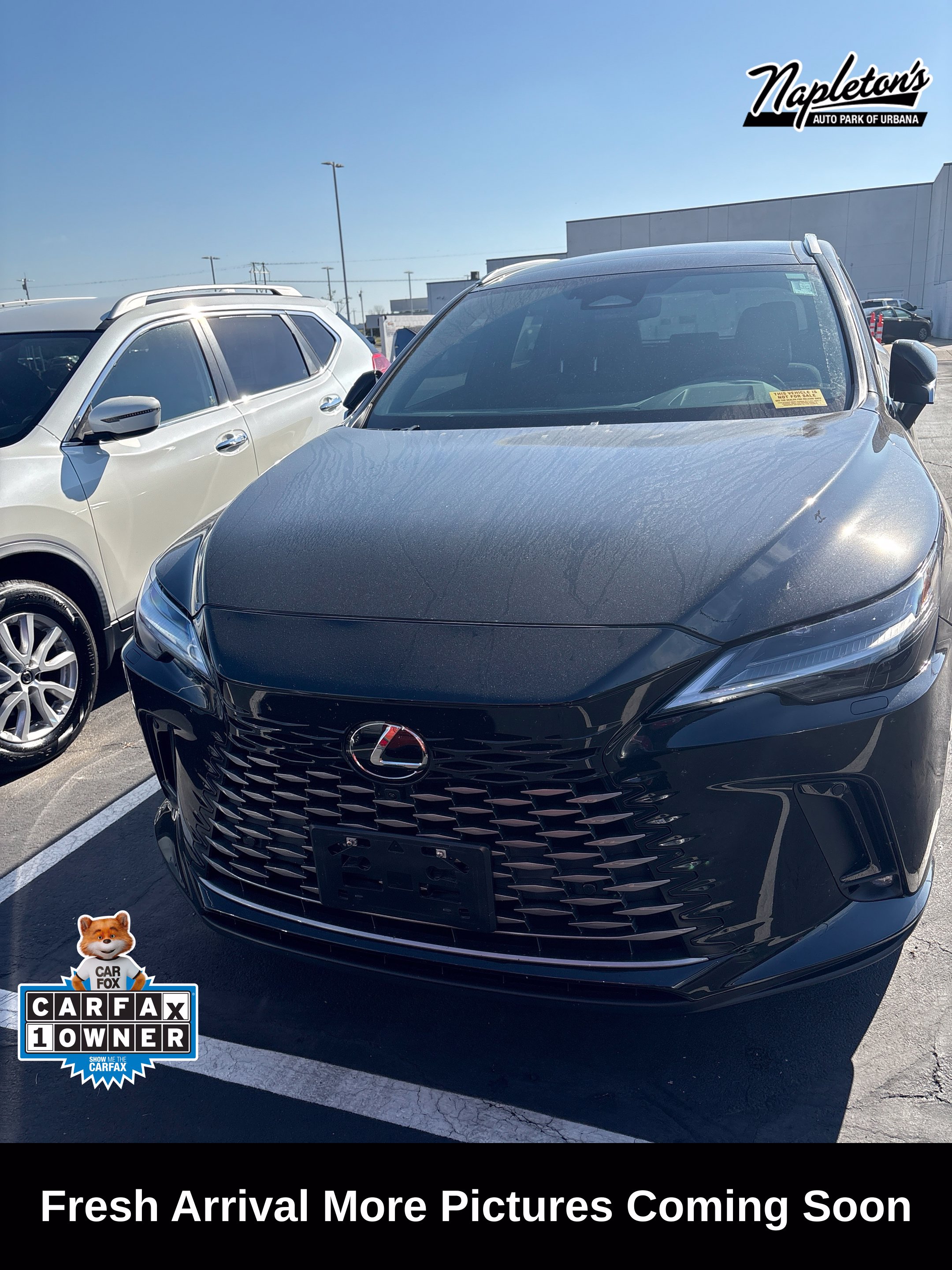 Used 2026 Lexus RX 350h Luxury SUV