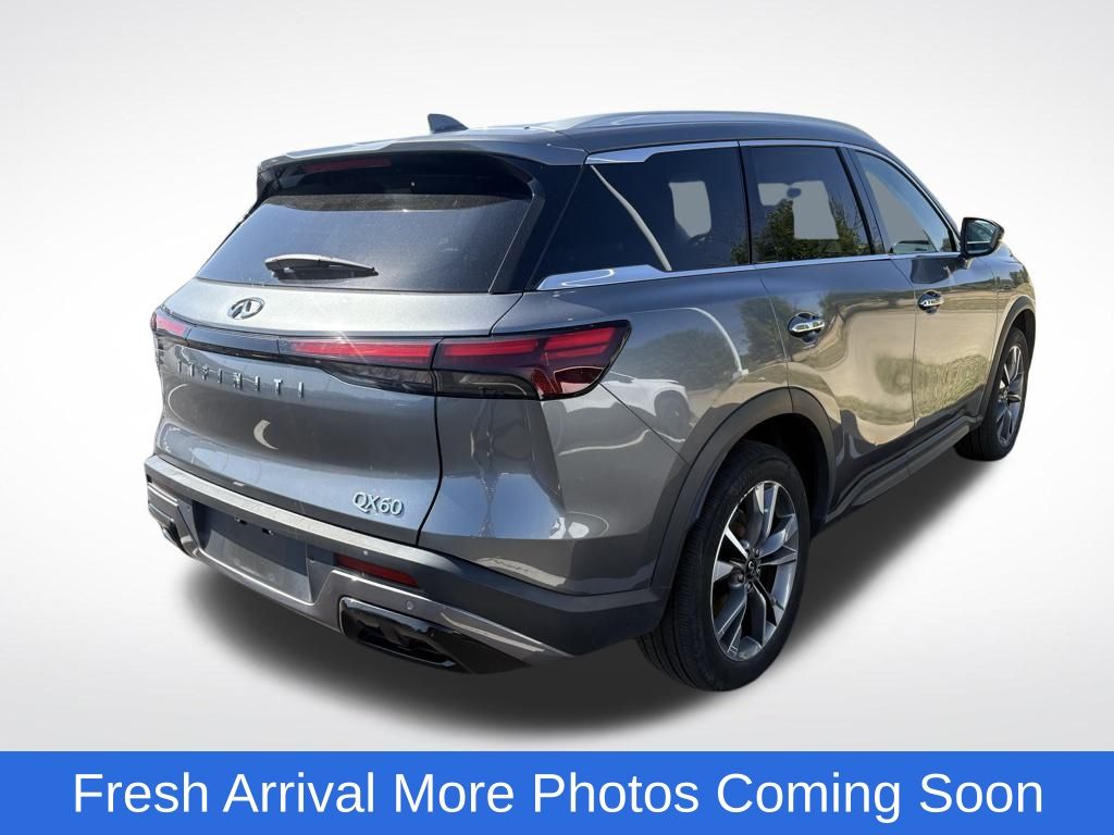 2024 Infiniti QX60 Luxe photo 3