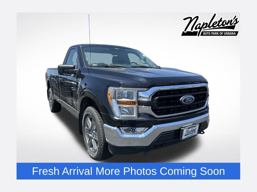 2021 Ford F-150 XLT 4x4 Regular Cab 6-1/2 Box's photo
