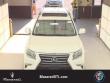 2014 LEXUS GX 460 Base SUV