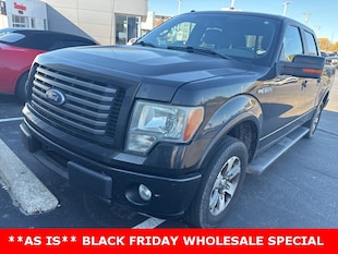 2010 Ford F-150 Truck SuperCrew Cab