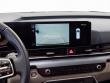 2025 Kia Carnival Hybrid EX Van Passenger Van