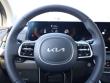 2026 Kia Carnival EX Van Passenger Van in St. Peters, MO