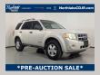 Used 2008 Ford Escape XLT SUV