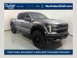 Used 2024 Ford F-150 Raptor Truck