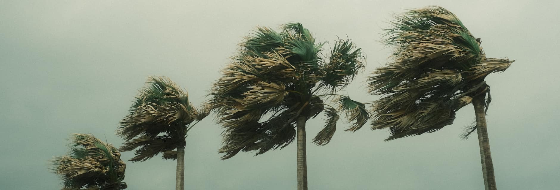 how to protect your car in a hurricane