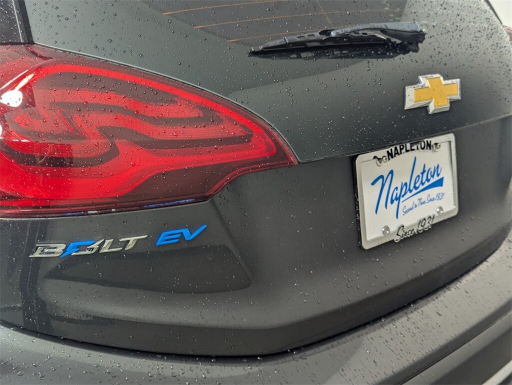 2019 Chevrolet Bolt EV photo 8