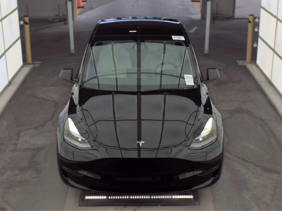 Used 2023 Tesla Model Y Performance with VIN 7SAYGDEF8PF979669 for sale in Lake Park, FL