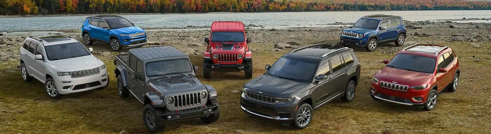 What is the Jeep Wave Program