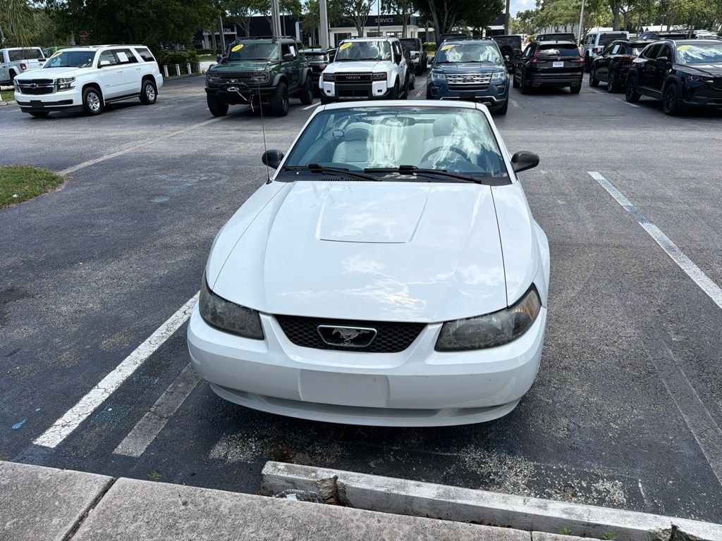Used 2004 Ford Mustang V6 Convertible