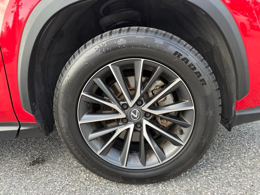 2024 Lexus NX 250 photo 4