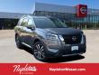 2025 Nissan Pathfinder Platinum SUV 2025 Nissan Pathfinder Platinum SUV