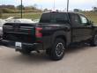 2026 Nissan Frontier PRO-4X Truck Crew Cab