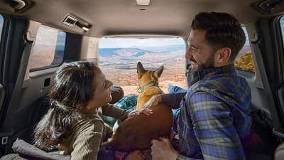 New Toyota Land Cruiser