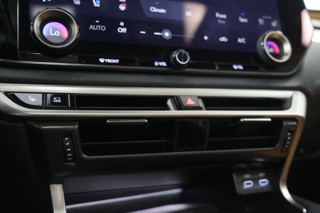 2025 Lexus RX Hybrid 350h - Photo 29