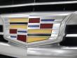 2020 Cadillac Escalade Platinum Edition SUV
