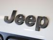 2021 Jeep Renegade 80th Edition SUV