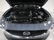2025 Mazda CX-30 2.5 S Carbon Edition SUV