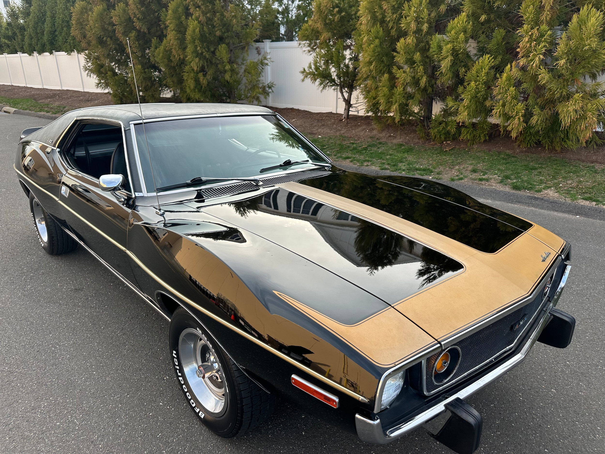【AMC】16センチ20センチ24センチ 3個セット Used 1974 AMC JAVELIN For Sale at Napoli Classics | VIN: A4C798Z509028