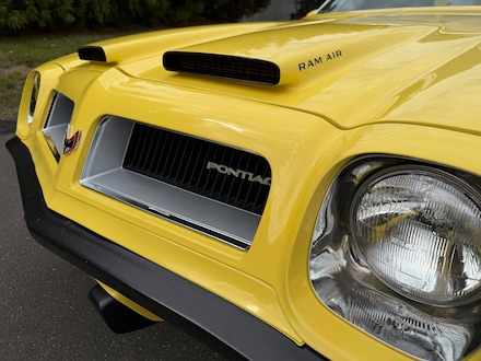 1974 Pontiac Firebird FORMULA 400 COUPE
