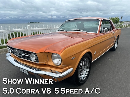 1965 Ford Mustang CUSTOM Coupe