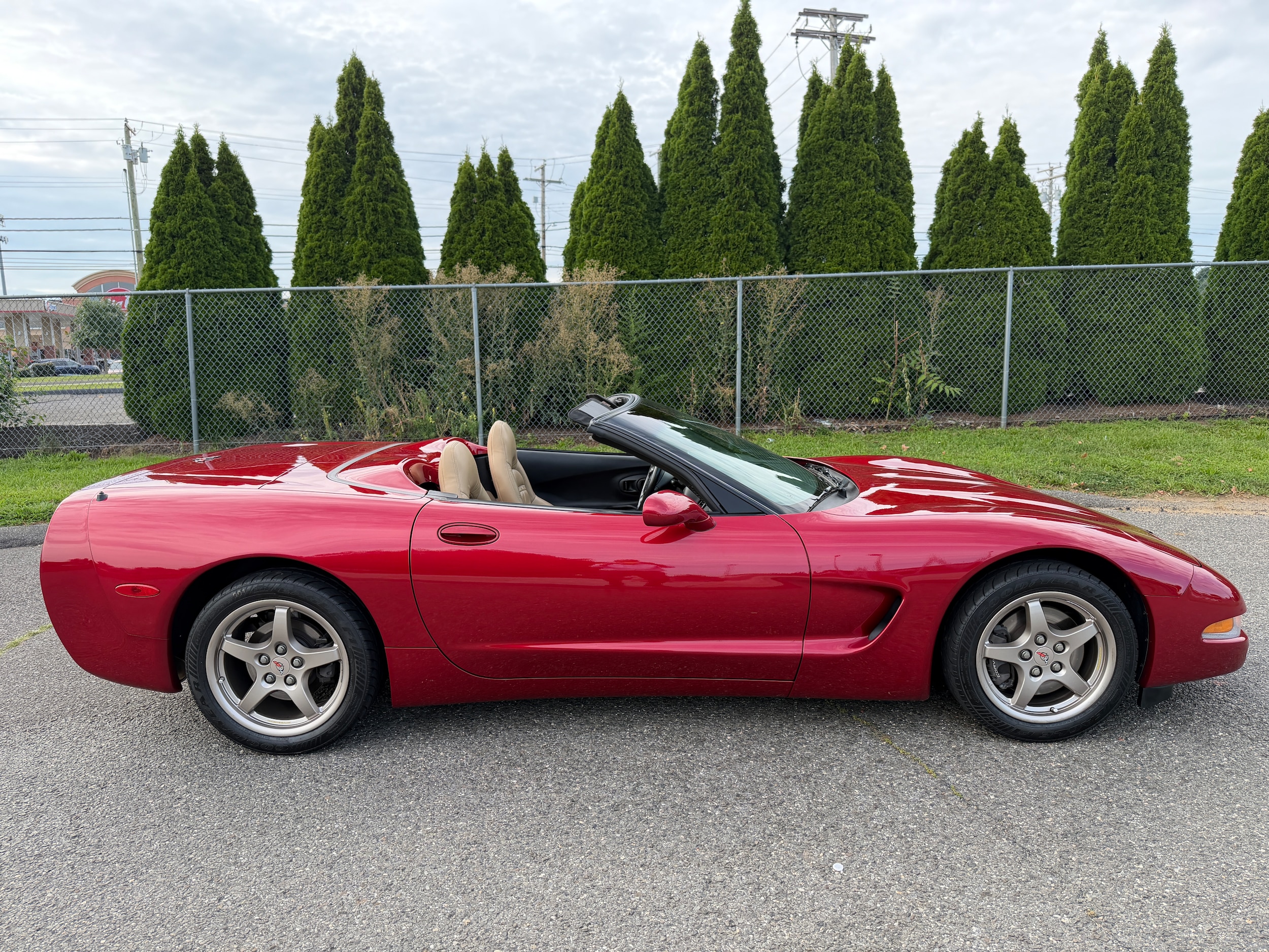 Used 2000 Chevrolet Corvette For Sale at Napoli Classics | VIN