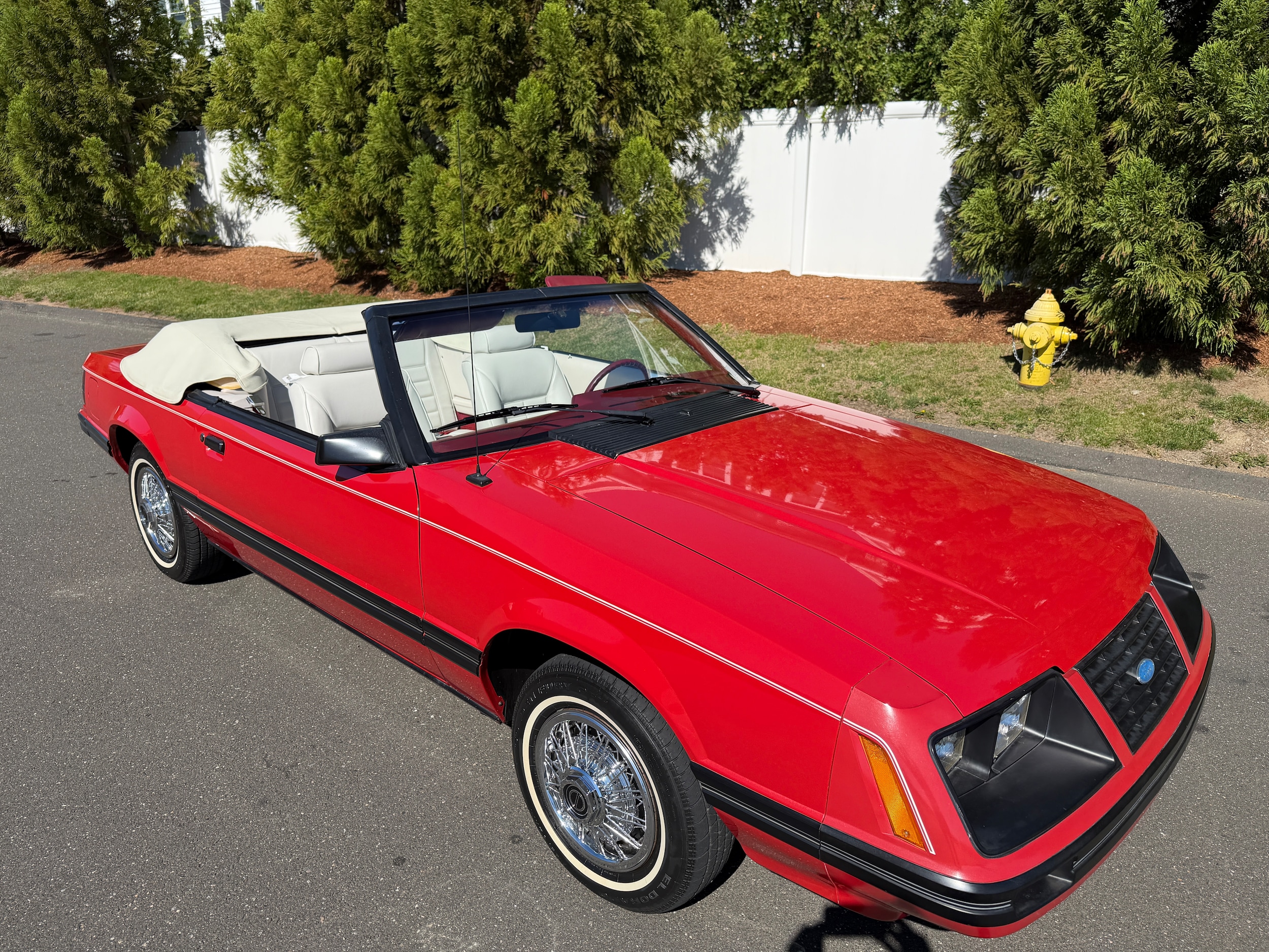 1983 Ford Mustang's photo